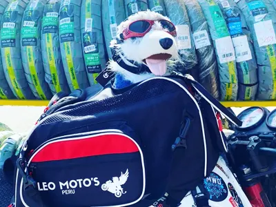 Leo Motos Perú