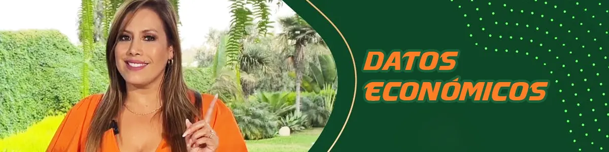 Datos Franquicia Fitosana