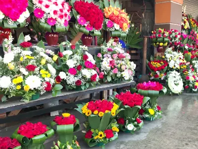 Abrir una Florería en Perú