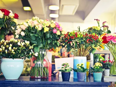 Proveedores para una florería