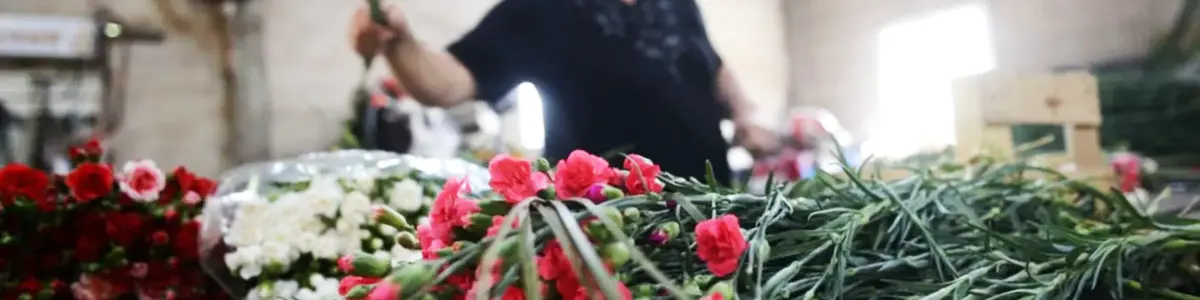 Trabajando en florería